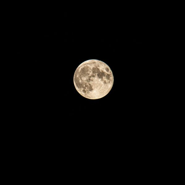 Full Harvest Moon A3
