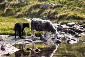 Photography prints wigan 